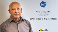 Professeur Jacques Elion